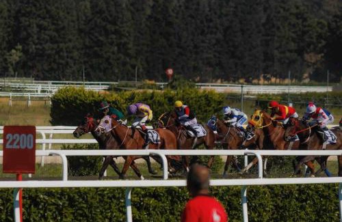 Chantilly Apartamento | Appartement duplex à Chantilly centre