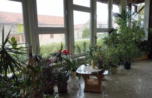 Radewege Apartamento | Appartement Mit Blick Auf Das Wasser