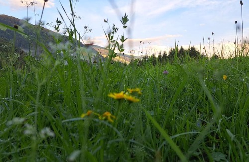 Wildschoenau Apartamento | Appartements Alpenland - Ferienwohnungen