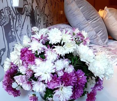 Siguenza Apartamento | Arévacon