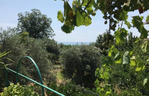 Trebisacce Casa | Arancetodamare ARTEMIDE