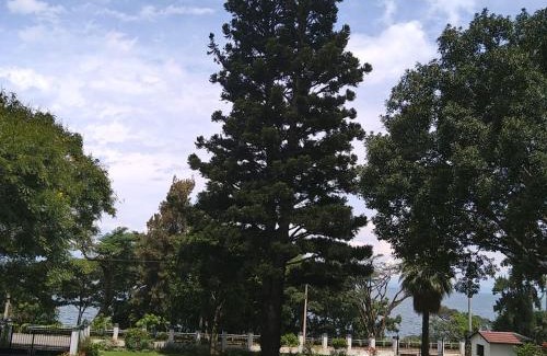 Gisenyi Hotel | ARAUCARIA RESIDENCE