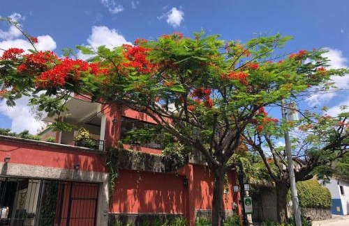 Antiguo Cuscatlan Hotel | Arbol de Fuego Eco-hotel
