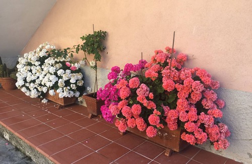 Arcola Casa | Arcola, 5 terre, Lerici, Bocca di Magra, Fiascherino, a pocos minutos de distancia CASA MARINA