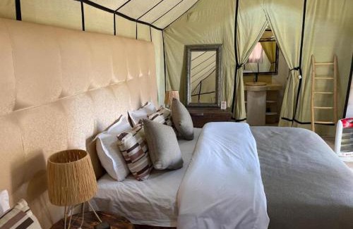 Merzouga Casa | Arena Desert Camp & Activitys
