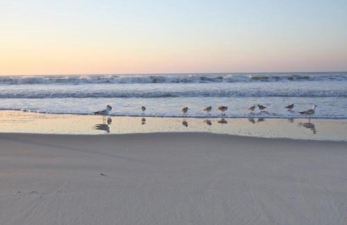 Isle of Palms Casa | Array of Sunshine Condo