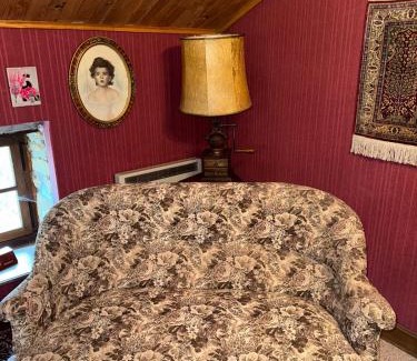 Spincourt Villa | Art & Relaxation Manor Spa, Billiards & Pinball