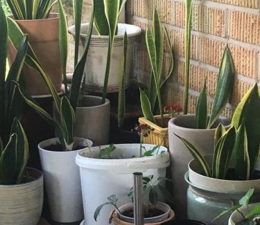 Ruda Casa | Arthome Småland