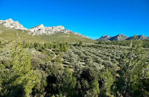 Saint-Etienne-du-Gres Cama Y Desayuno | Arty Provence, vue, calme et piscine chauffée dans les Alpilles proche St-Rémy-de-Provence
