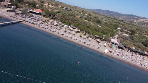 Ayvacik Hotel | Assos Batık İskele Beach Hotel