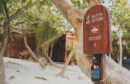 Playa Paraiso Alquiler De RV | Astral Tulum