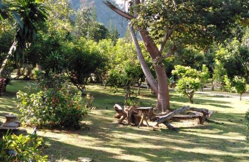 Chiang Dao Complejo | At Home Chiang Dao, Pooch Lovers