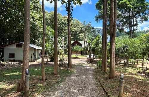 Chiang Dao Complejo | At Home Chiang Dao, Pooch Lovers