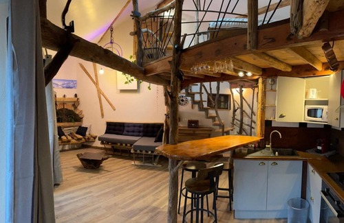 Tarascon-sur-Ariege Apartamento | Atypical apartment at the crossroads of the valleys close to all amenities