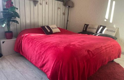 Pra Loup Apartamento | au Bonheur - Praloup 1600 - Au cœur de la station et au pied des pistes - La voile des neiges - parking commun privé - local ski