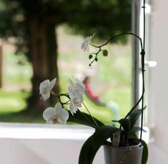 Quend Casa | Au ChAtô Quend-plage