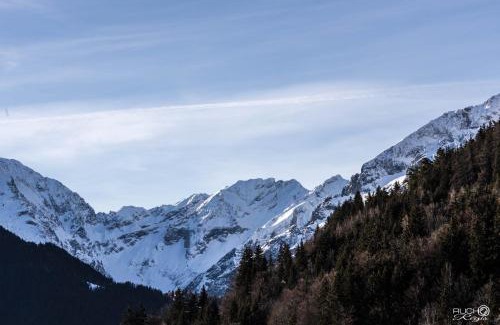 Auris Hotel | Auberge De La Forêt - Hôtel