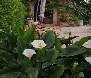 Le Plan-de-Grasse Hotel | Auberge les Aromes