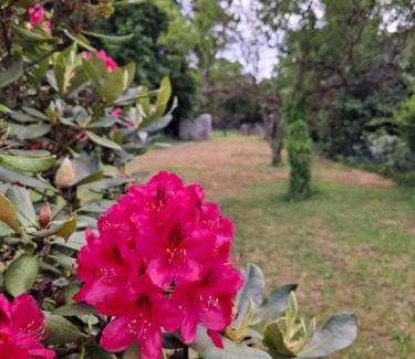 Pforzheim Apartamento | Auf der Ried26 - Frisch renoviertes, charmantes Familien-Appartement mit 3 Schlafräumen