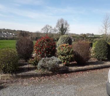 Coalisland Casa | Aunt Mollie's Cottage