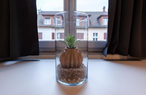 Winterthur Apartamento | Authentische Wohnung an Top-Lage!