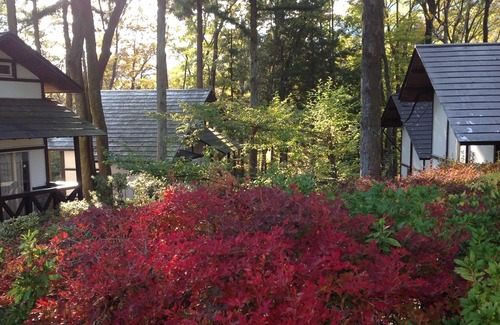 Kinugawa Onsen Cabaña | Caza de hojas de otoño base Base de turismo de Nikko ♪ ¡Se puede llegar a una cabaña de la estación en tren!100 minutos en expreso limitado desde Kitasenju ♪ 4 minutos a pie desde la estación ♪ Hay mucha naturaleza cerca de la estación.Kinugawa Onsen e...