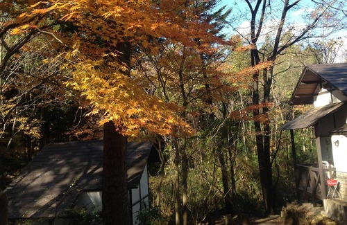 Kinugawa Onsen Cabaña | Caza de hojas de otoño base Base de turismo de Nikko ♪ ¡Se puede llegar a una cabaña de la estación en tren!100 minutos en expreso limitado desde Kitasenju ♪ 4 minutos a pie desde la estación ♪ Hay mucha naturaleza cerca de la estación.Kinugawa Onsen e...