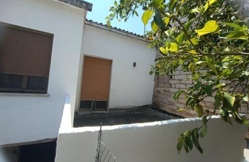 Berchidda Cama Y Desayuno | Azzurra Haven