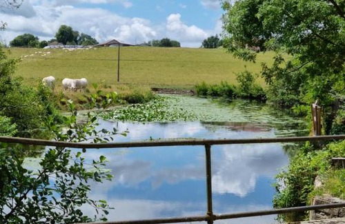 Jayat Cama Y Desayuno | B&B à la campagne