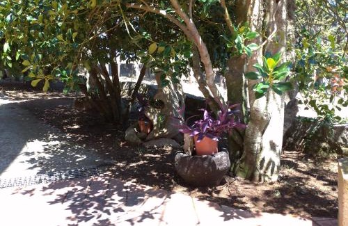 Nuoro Cama Y Desayuno | B&B Bene Bennios IUN F1441