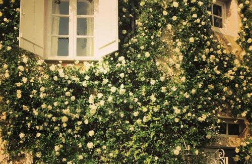 Cadepiaggio Cama Y Desayuno | B&B Casa Meli