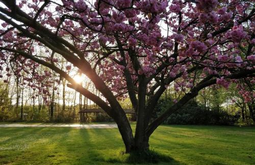 Rooi Cama Y Desayuno | B&B Domein Rodin