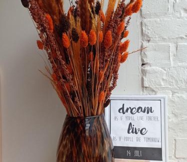 Sint-Gillis Cama Y Desayuno | B&B Emma