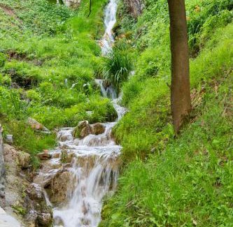 Soko Banja Cama Y Desayuno | B&B Nataly 2