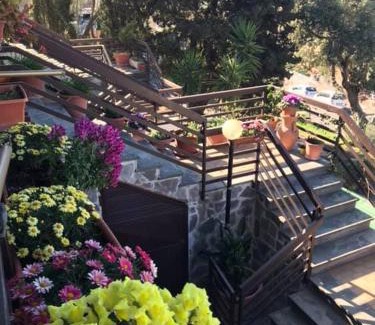 Tarquinia Cama Y Desayuno | B&B Nonna Luisa