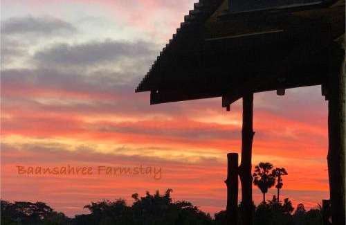 Nong Chang Casa | Baansahree Farmstay