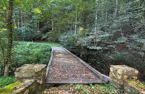 Piney Mountain Cabina | Back in Time! River Log Cabin-Off Grid