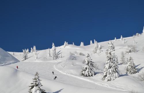 Sutrio Hotel | Baita Goles