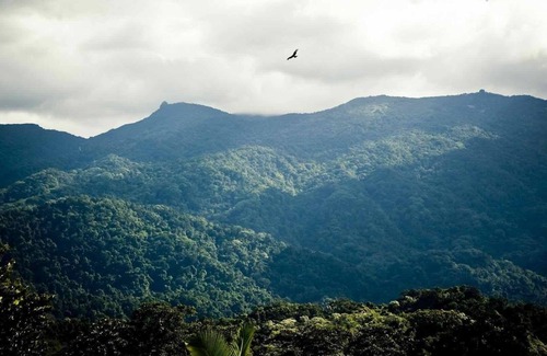 Miallo Casa | Bali HainA private retreat on acreage, close to town, ocean & the rainforest