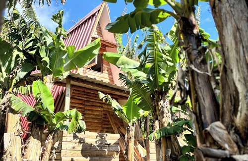 Angra do Heroismo Cabina | Banana Eco Camp
