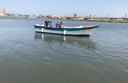 Aveiro Alquiler De Eote | Barcos Casa OstrAveiro