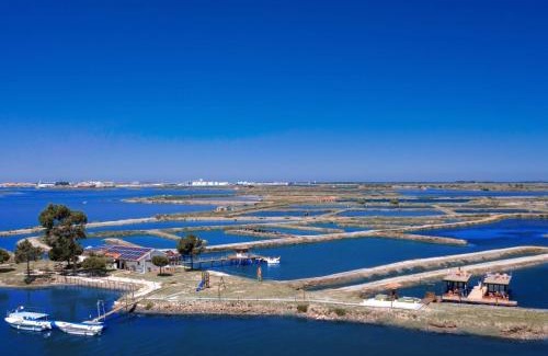 Aveiro Alquiler De Eote | Barcos Casa OstrAveiro