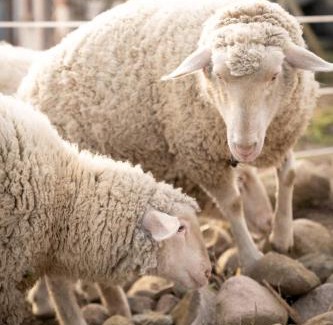 Gumtow Villa | BarnLoft mit Whirlpool & Kamin