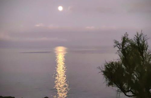 Ponta Delgada Villa | Barrocas Villas Azores