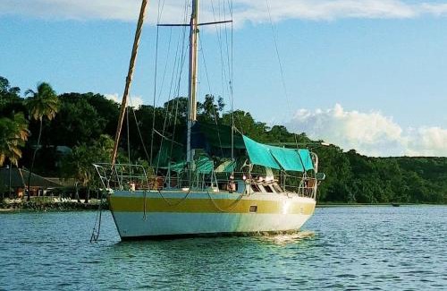 Espace Sud de la Martinique Alquiler De Eote | Bateau Kyma