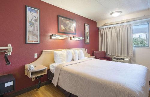 Bearss Plaza Hotel | Bay Inn On Busch