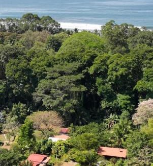 Uvita Apartamento | Bay Paradise Cabin 5 minutes from the beach