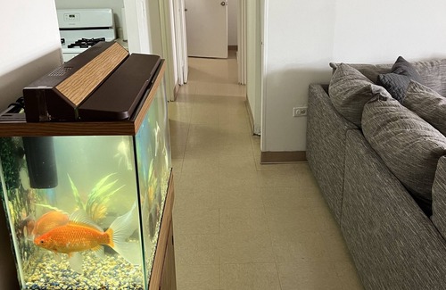 Queens Apartamento | Beach Front unit with beautiful boardwalk conveniently steps away.