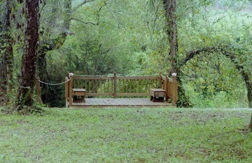 Murphy Cabina | Bear Cabin Necesidad Log - estanque de truchas, Cascada