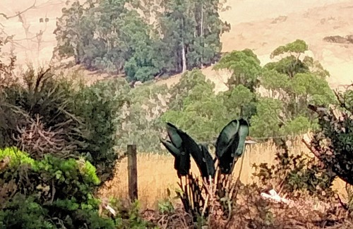 Narracan Casa | Beautiful 3 bedroom farmhouse in Narracan